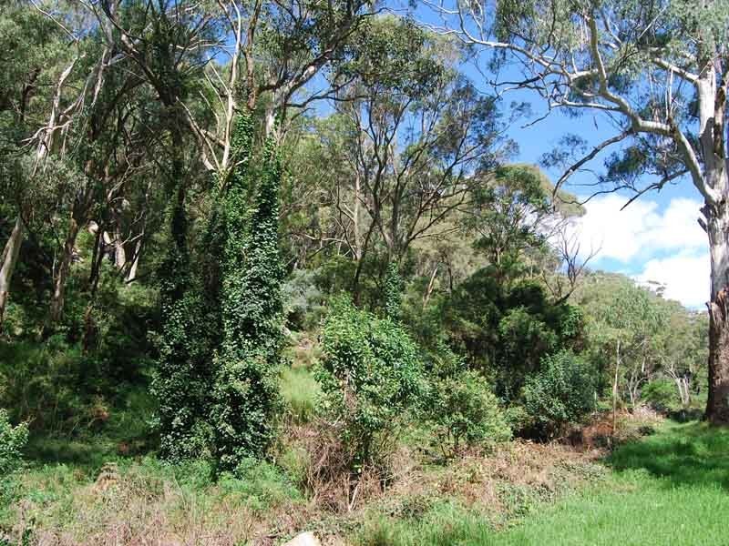 2/22 Tulloona Avenue, Bowral NSW 2576