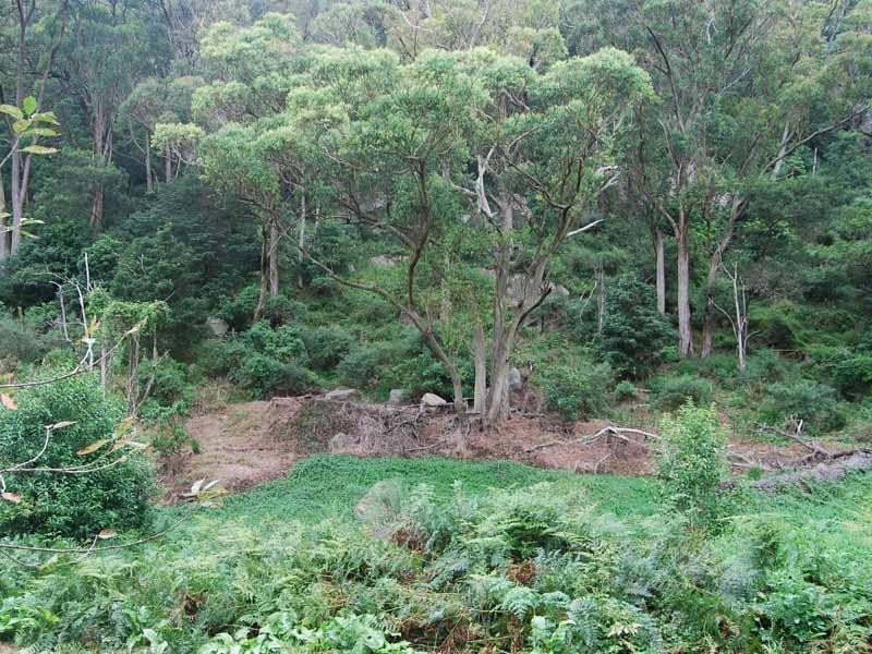 19 Tulloona Avenue, Bowral NSW 2576