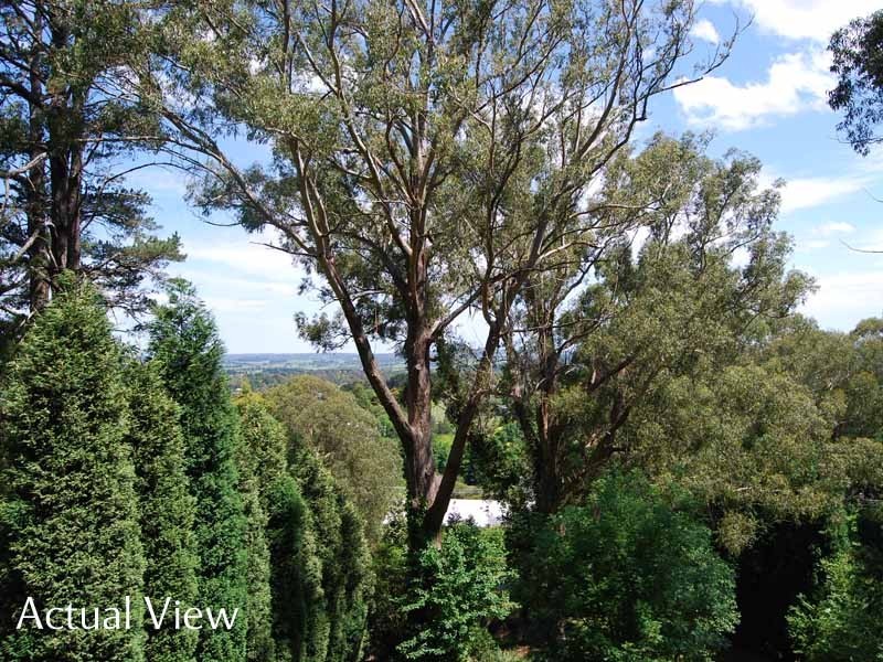 26 Gladstone Road, Bowral NSW 2576