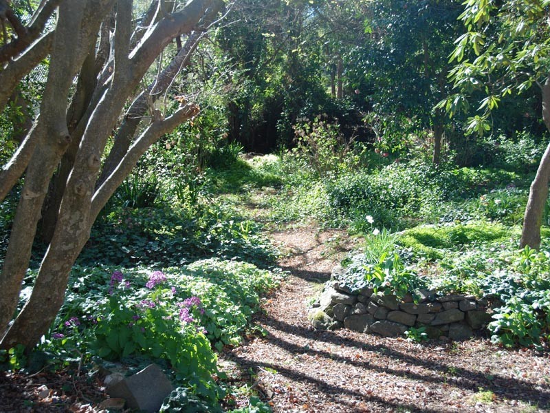 8  Banksia Street, Bowral NSW 2576