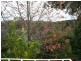 17 Cliff Street, Bowral NSW 2576