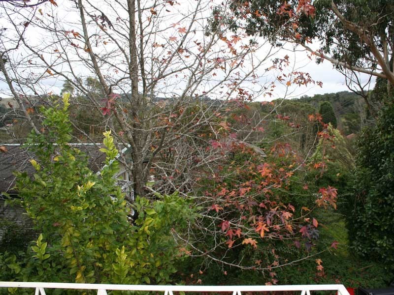 17 Cliff Street, Bowral NSW 2576