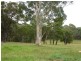 1451 Wombeyan Caves Road, High Range NSW 2575