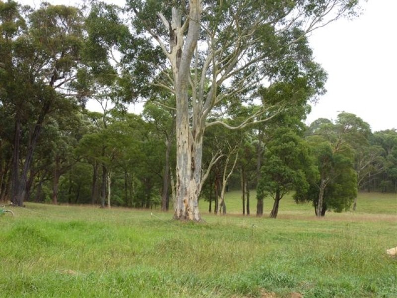 1451 Wombeyan Caves Road, High Range NSW 2575