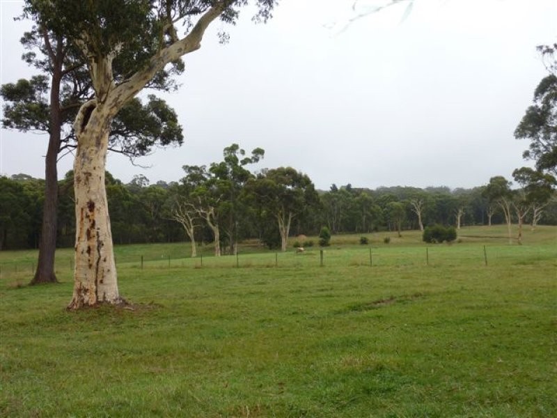 1451 Wombeyan Caves Road, High Range NSW 2575