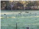 1451 Wombeyan Caves Road, High Range NSW 2575
