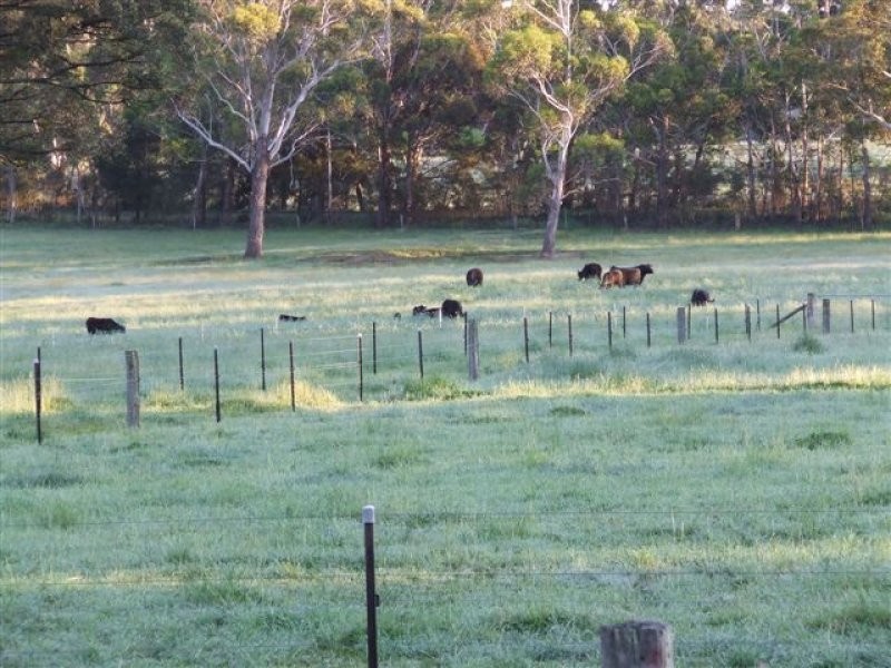1451 Wombeyan Caves Road, High Range NSW 2575