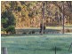 1451 Wombeyan Caves Road, High Range NSW 2575