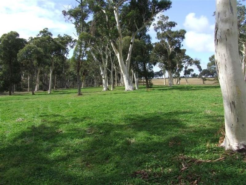 1451 Wombeyan Caves Road, High Range NSW 2575