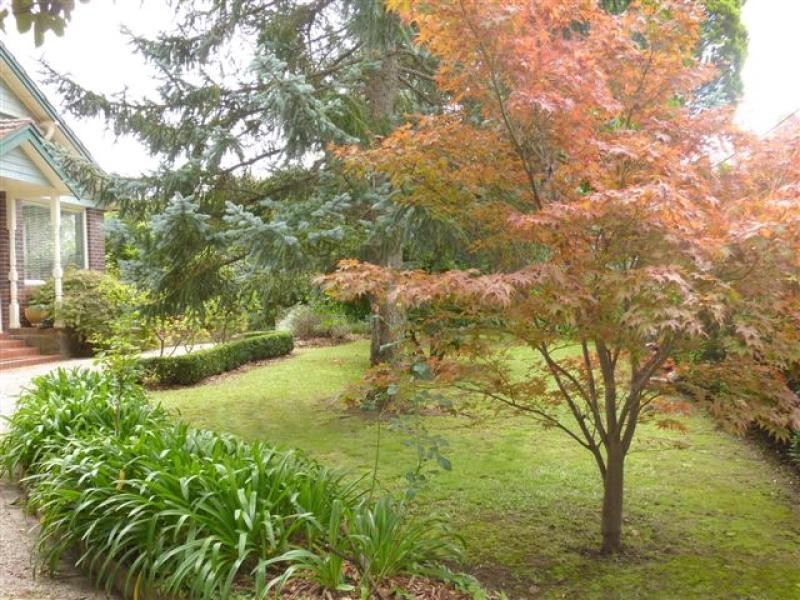 19 St. Jude Street, Bowral NSW 2576