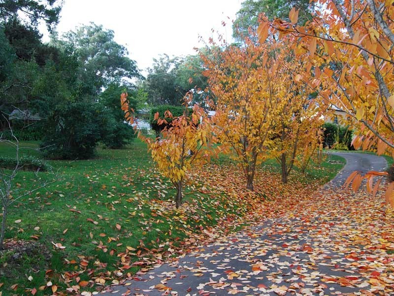 28  Gladstone Road, Bowral NSW 2576