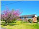 17 Lovelle Street, Moss Vale NSW 2577