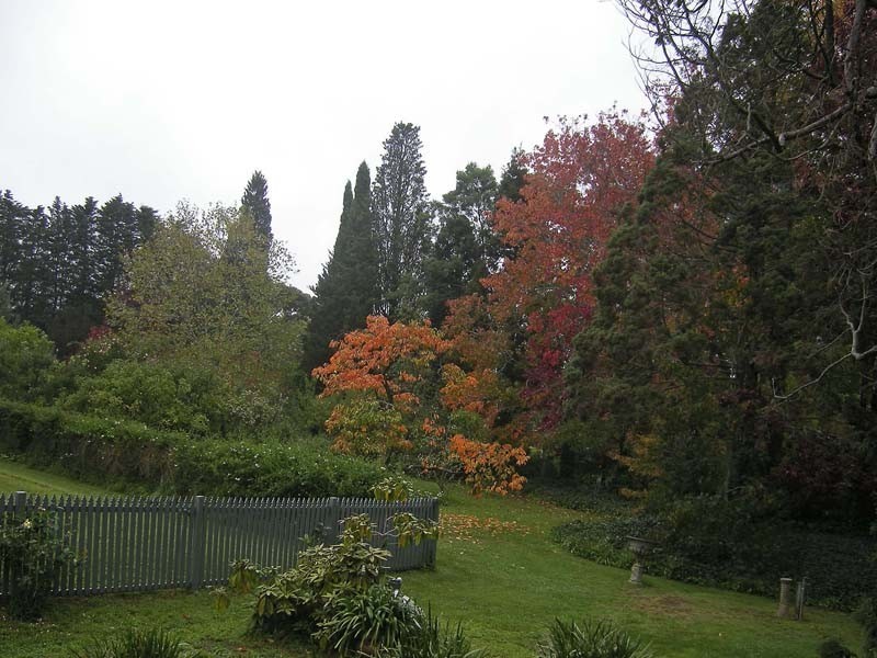 7 Hamilton Avenue, Bowral NSW 2576