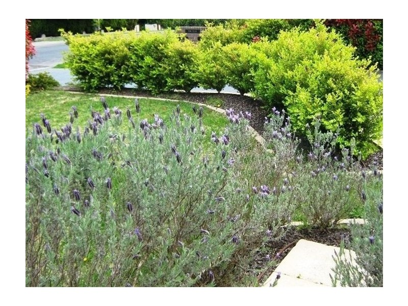 26A Thompson Street, Bowral NSW 2576