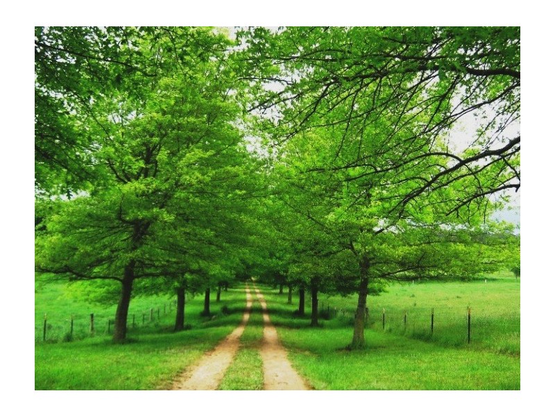 145 Walkers Lane – The Meadows, Moss Vale NSW 2577