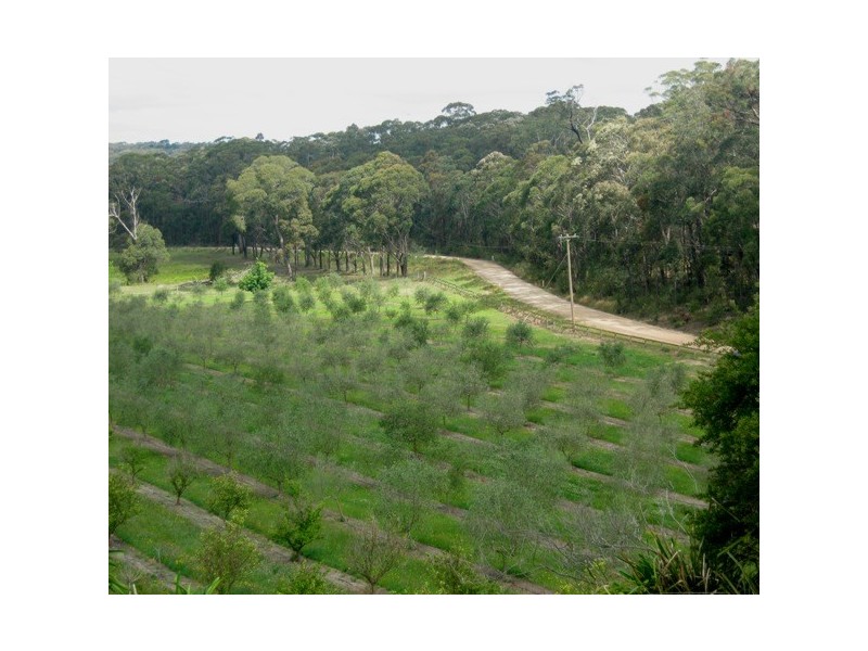 3-281 Colo Road, Colo Vale NSW 2575