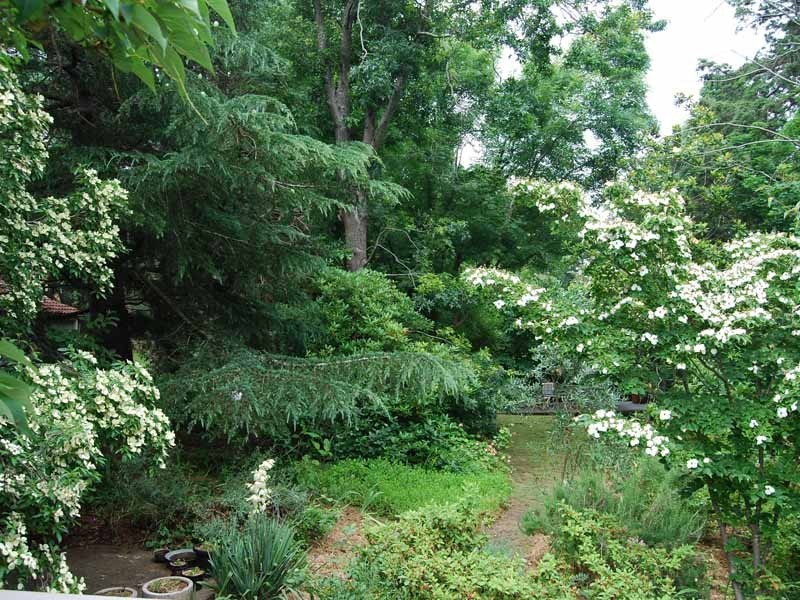 21  Valetta Street, Moss Vale NSW 2577