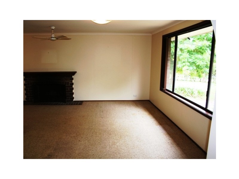 38 Orient Street, Willow Vale NSW 2575