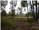 Lot 21 & 22 15-17 Gascoigne Street, Willow Vale NSW 2575