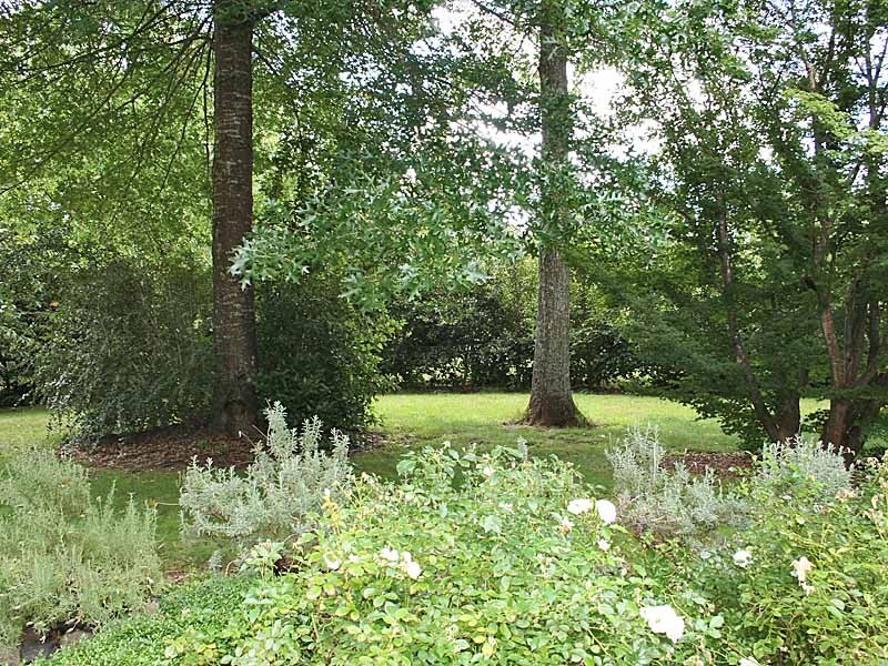 15A Boronia Street, Bowral NSW 2576