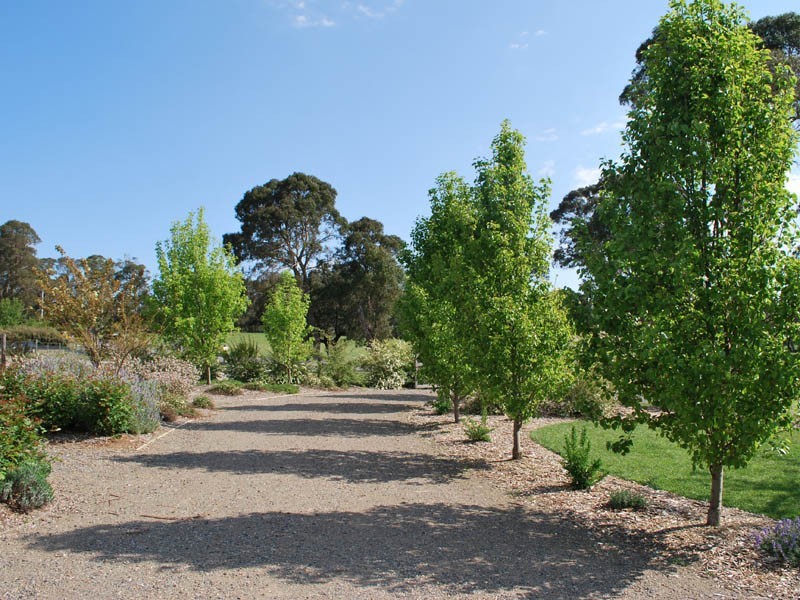 22 Greasons Road, Bundanoon NSW 2578