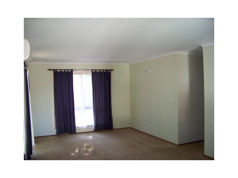 52 Anchusa Street, Kingston QLD 4114