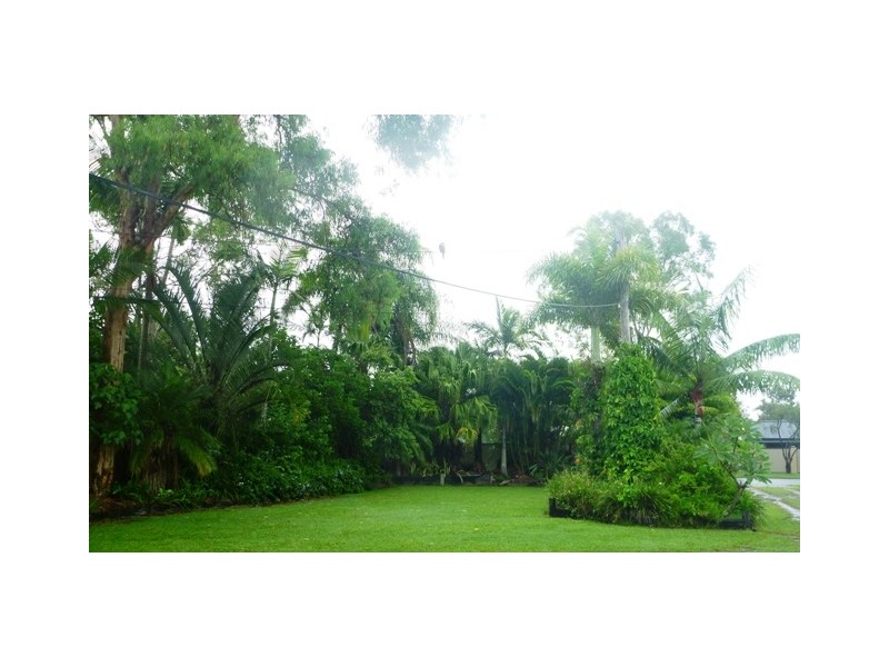 55 Blue Gum Drive, Marsden QLD 4132