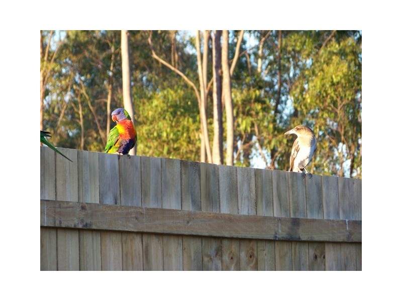 38A Hugo Drive, Beaudesert QLD 4285