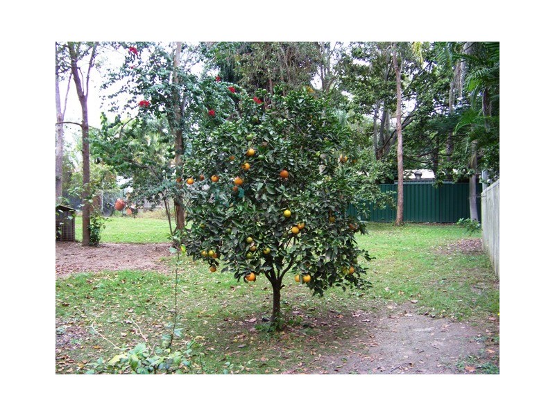 766 Kingston Rd, Loganlea QLD 4131