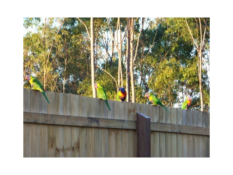 28A Hugo Drive, Beaudesert QLD 4285