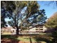 12/1-3 Coronation Avenue, Petersham NSW 2049