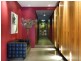 13/18 Springfield Avenue, Potts Point NSW 2011