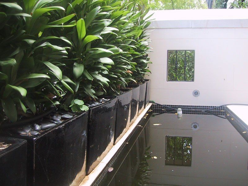 69 Womerah Avenue, Darlinghurst NSW 2010