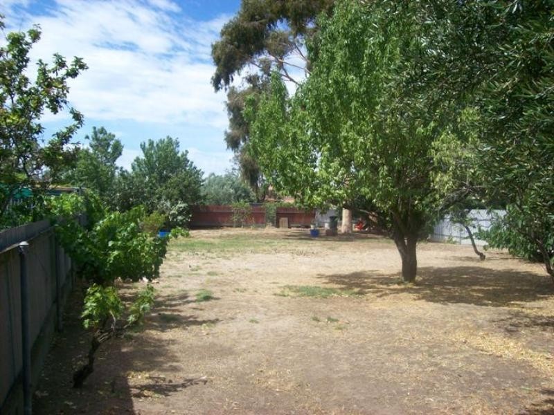 35 Shelley Avenue, Netley SA 5037