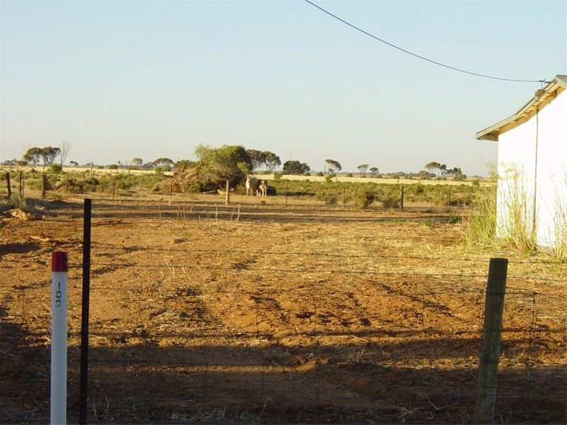 Lot 1 11 Wilson Street, Two Wells SA 5501