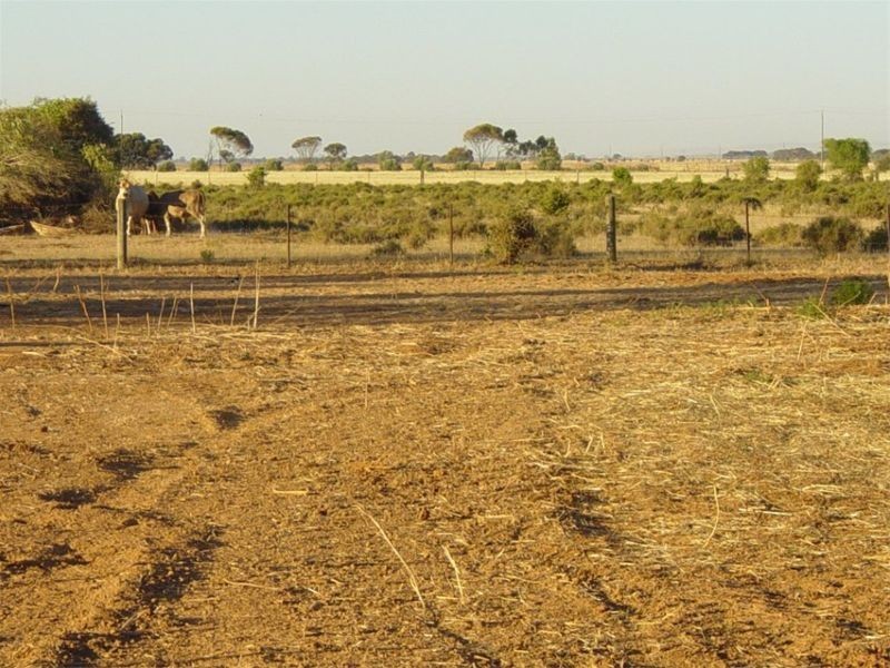Lot 1 11 Wilson Street, Two Wells SA 5501