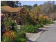 24 Mabel Street, Stirling SA 5152