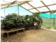 4 Pug Street, Marrabel SA 5413