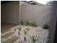 77 Devonport Terrace, Prospect SA 5082