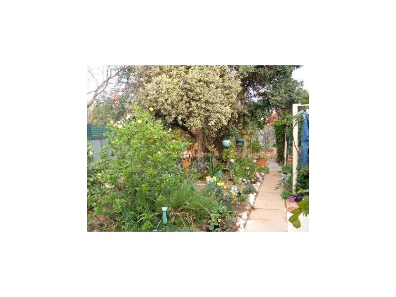 12 Harris Street, Balaklava SA 5461