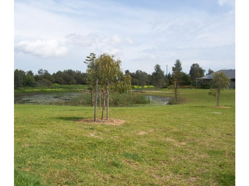 60 Innes Circuit, Mawson Lakes SA 5095