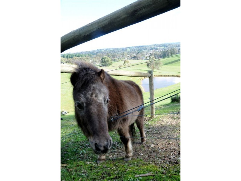 Lot 57 Martin Road, Hahndorf SA 5245