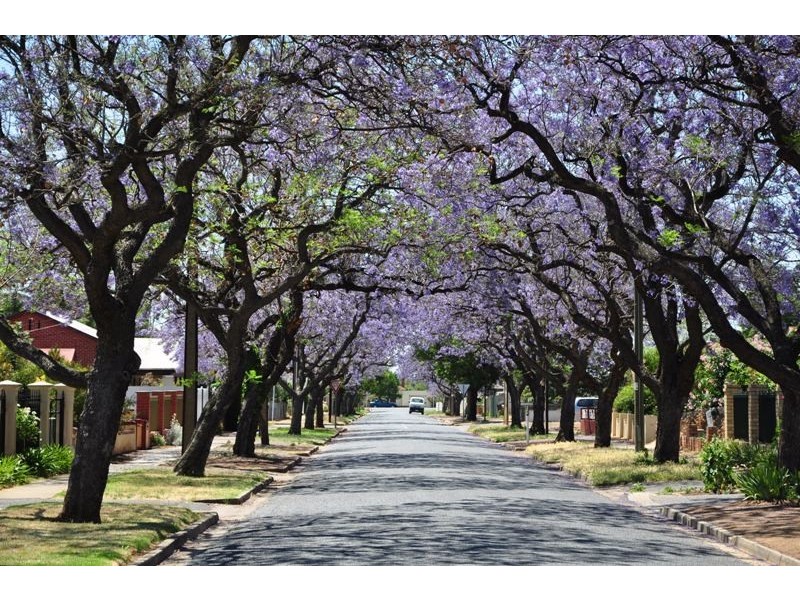 9 York Street, Prospect SA 5082