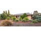 1 De Rose Street, Flagstaff Hill SA 5159