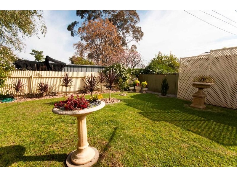 34 York Street, Prospect SA 5082