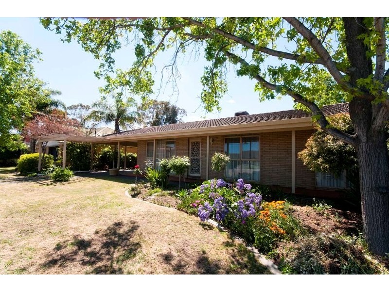 17 Windermere Ave, Novar Gardens SA 5040