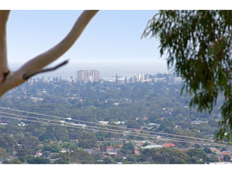 6 Land Crescent, Pasadena SA 5042