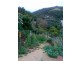68 Wyatt Road, Burnside SA 5066