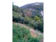 68 Wyatt Road, Burnside SA 5066