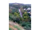 68 Wyatt Road, Burnside SA 5066